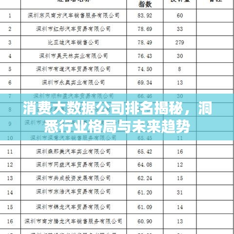 消费大数据公司排名揭秘，洞悉行业格局与未来趋势