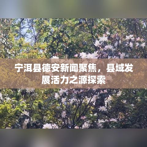 宁洱县德安新闻聚焦,县域发展活力之源探索
