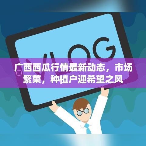 广西西瓜行情最新动态，市场繁荣，种植户迎希望之风
