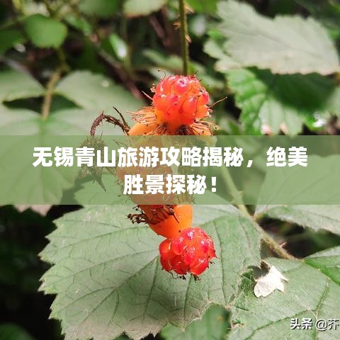 无锡青山旅游攻略揭秘，绝美胜景探秘！