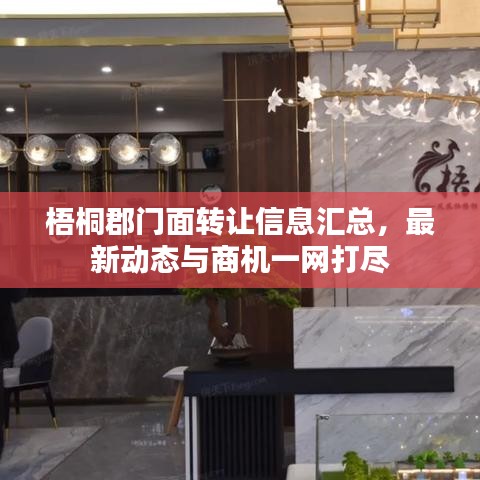 梧桐郡门面转让信息汇总，最新动态与商机一网打尽