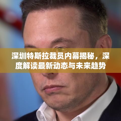 深圳特斯拉裁员内幕揭秘，深度解读最新动态与未来趋势