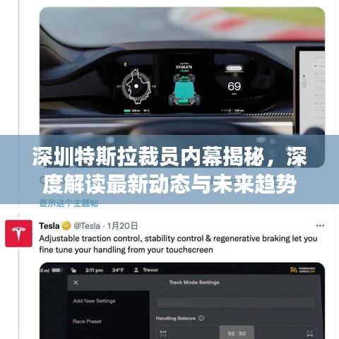 深圳特斯拉裁员内幕揭秘,深度解读最新动态与未来趋势