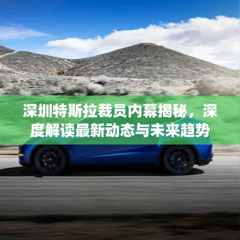 深圳特斯拉裁员内幕揭秘,深度解读最新动态与未来趋势