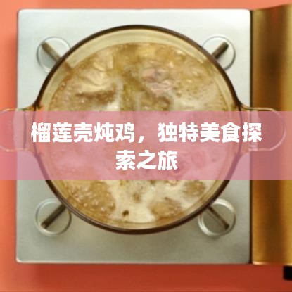 榴莲壳炖鸡，独特美食探索之旅