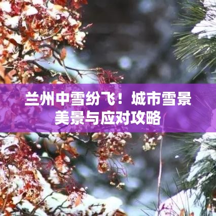 兰州中雪纷飞！城市雪景美景与应对攻略