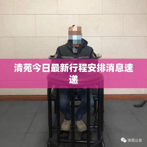 清苑今日最新行程安排消息速递