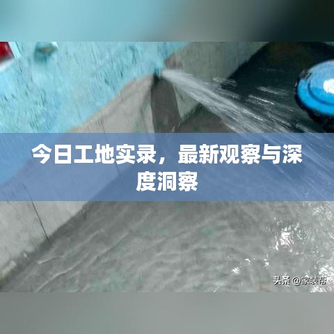 今日工地实录，最新观察与深度洞察