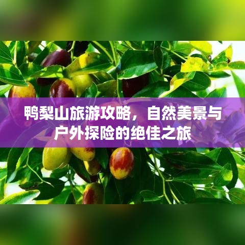 鸭梨山旅游攻略，自然美景与户外探险的绝佳之旅