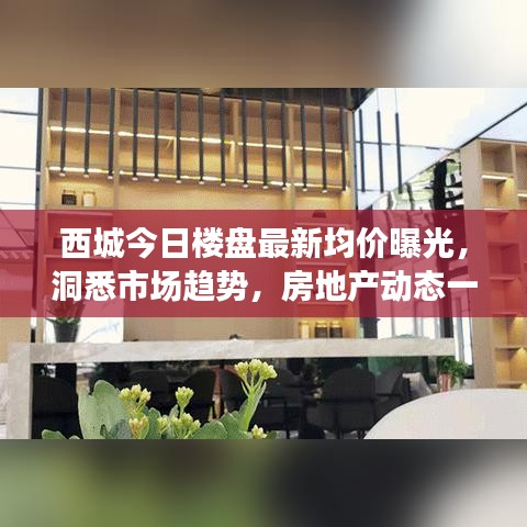 西城今日楼盘最新均价曝光，洞悉市场趋势，房地产动态一览无余