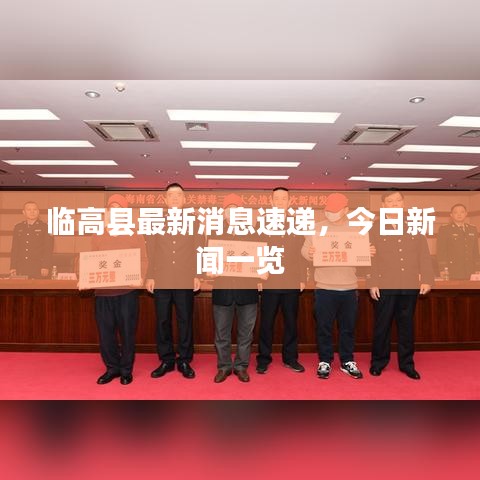 临高县最新消息速递，今日新闻一览