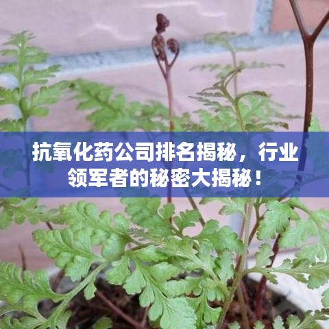 抗氧化药公司排名揭秘，行业领军者的秘密大揭秘！