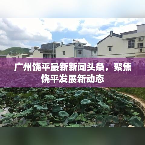 广州饶平最新新闻头条，聚焦饶平发展新动态