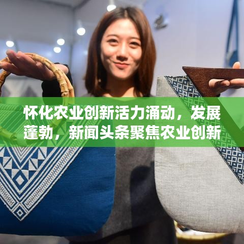 怀化农业创新活力涌动，发展蓬勃，新闻头条聚焦农业创新步伐