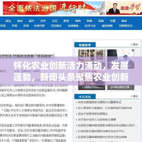怀化农业创新活力涌动,发展蓬勃,新闻头条聚焦农业创新步伐