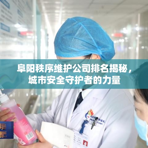 阜阳秩序维护公司排名揭秘，城市安全守护者的力量