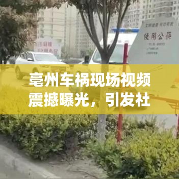 亳州车祸现场视频震撼曝光,引发社会关注热议