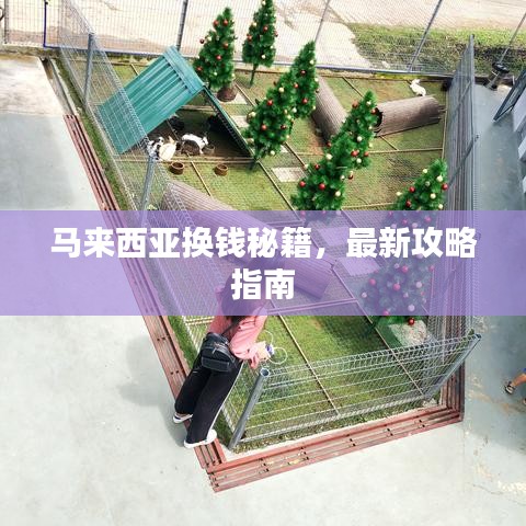 马来西亚换钱秘籍，最新攻略指南
