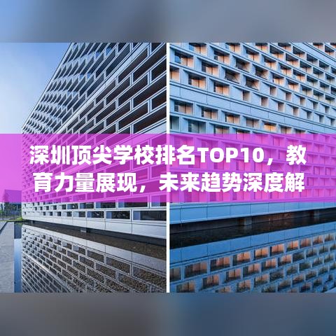深圳顶尖学校排名TOP10，教育力量展现，未来趋势深度解读