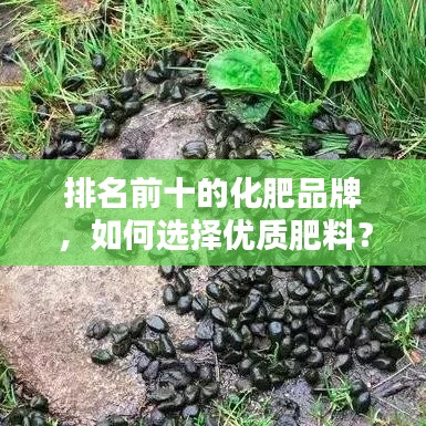 排名前十的化肥品牌，如何选择优质肥料？选购指南全解析！