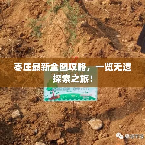 枣庄最新全图攻略,一览无遗探索之旅!