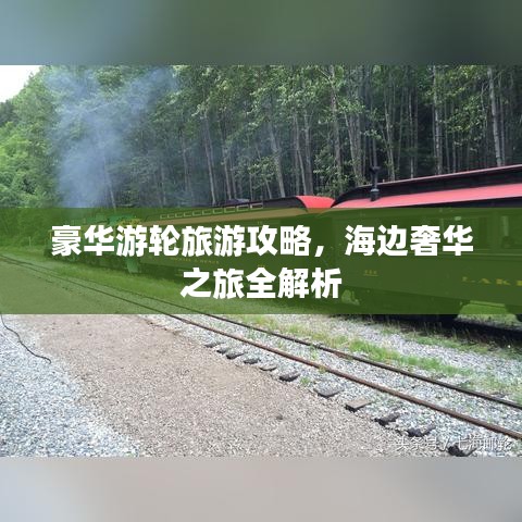 豪华游轮旅游攻略，海边奢华之旅全解析