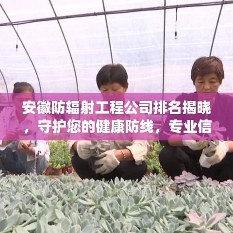安徽防辐射工程公司排名揭晓，守护您的健康防线，专业信赖之选！