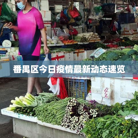 番禺区今日疫情最新动态速览