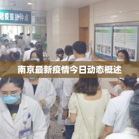 南京最新疫情今日动态概述