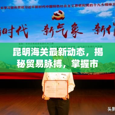 昆明海关最新动态，揭秘贸易脉搏，掌握市场风向标