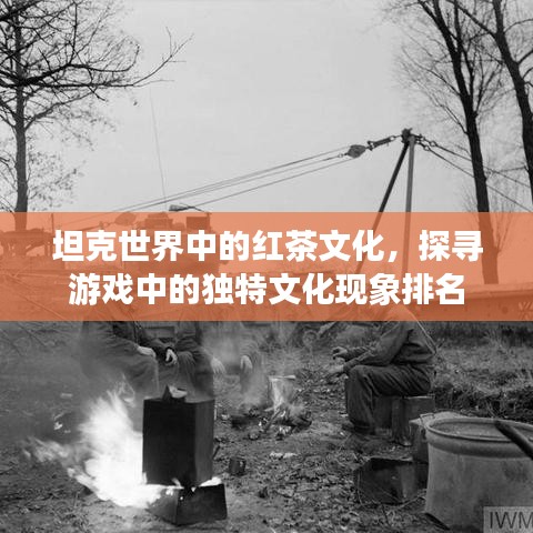 坦克世界中的红茶文化，探寻游戏中的独特文化现象排名