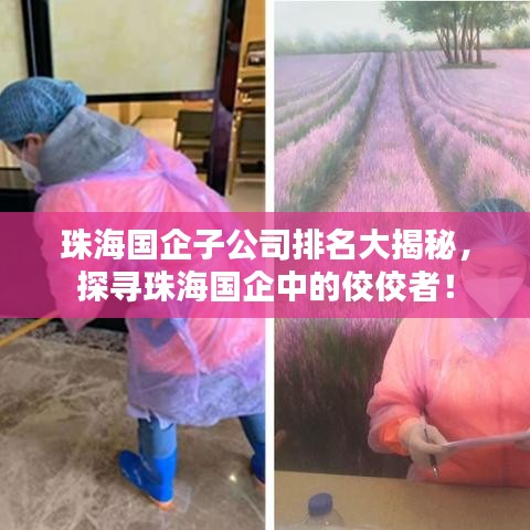 珠海国企子公司排名大揭秘，探寻珠海国企中的佼佼者！