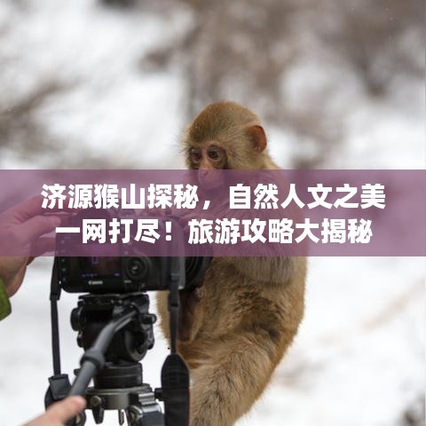 济源猴山探秘,自然人文之美一网打尽!旅游攻略大揭秘