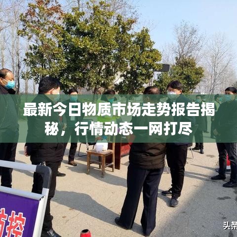 最新今日物质市场走势报告揭秘，行情动态一网打尽