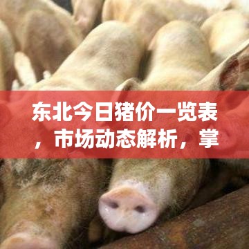 东北今日猪价一览表，市场动态解析，掌握猪价走势最新情报