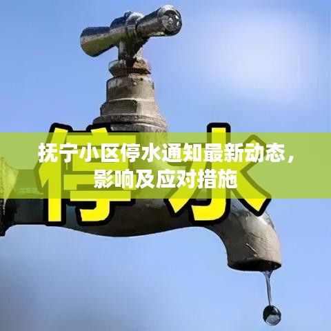 抚宁小区停水通知最新动态，影响及应对措施