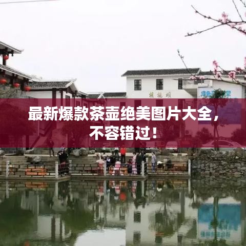 最新爆款茶壶绝美图片大全，不容错过！