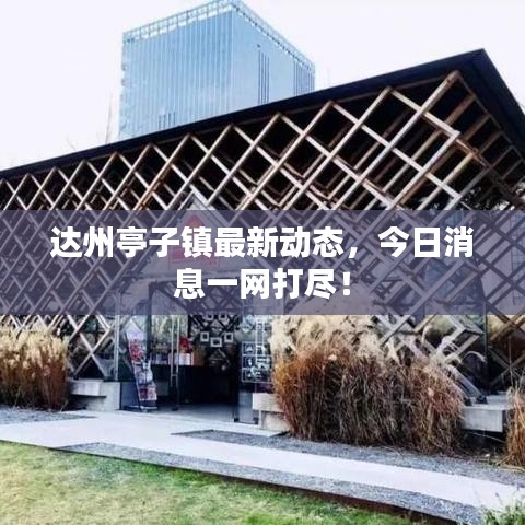 达州亭子镇最新动态，今日消息一网打尽！