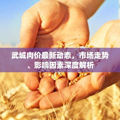 武城肉价最新动态，市场走势、影响因素深度解析