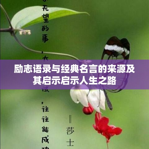 励志语录与经典名言的来源及其启示启示人生之路