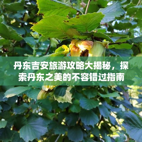 丹东吉安旅游攻略大揭秘，探索丹东之美的不容错过指南