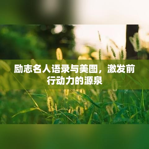 励志名人语录与美图，激发前行动力的源泉