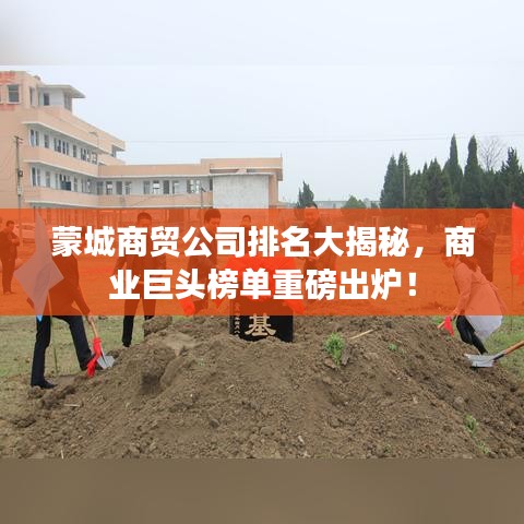 蒙城商贸公司排名大揭秘，商业巨头榜单重磅出炉！