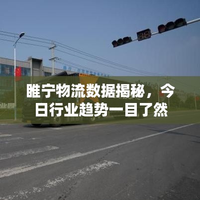 睢宁物流数据揭秘，今日行业趋势一目了然