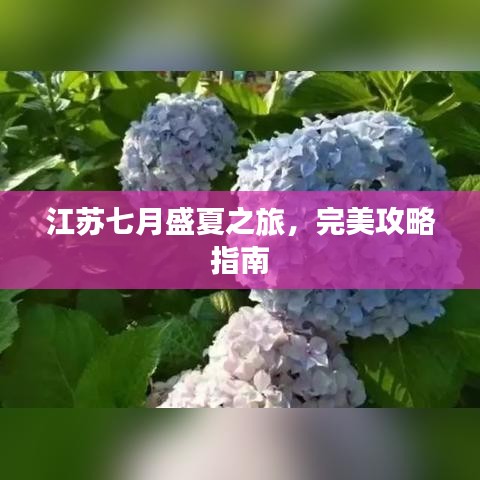 江苏七月盛夏之旅,完美攻略指南