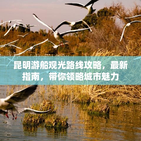 昆明游船观光路线攻略，最新指南，带你领略城市魅力