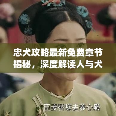 忠犬攻略最新免费章节揭秘，深度解读人与犬的深厚情感纽带