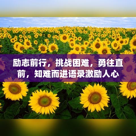 励志前行，挑战困难，勇往直前，知难而进语录激励人心