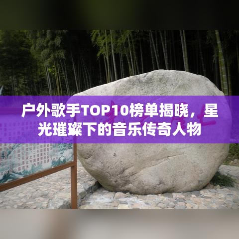 户外歌手TOP10榜单揭晓,星光璀璨下的音乐传奇人物