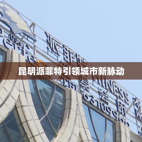 昆明派菲特引领城市新脉动